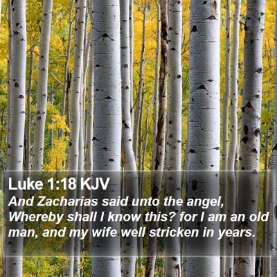 Luke 1:18 KJV Bible Verse Image