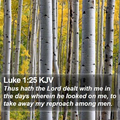 Luke 1:25 KJV Bible Verse Image