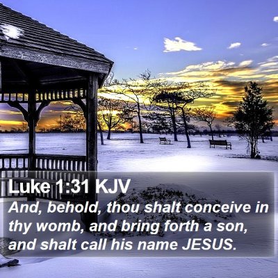 Luke 1:31 KJV Bible Verse Image