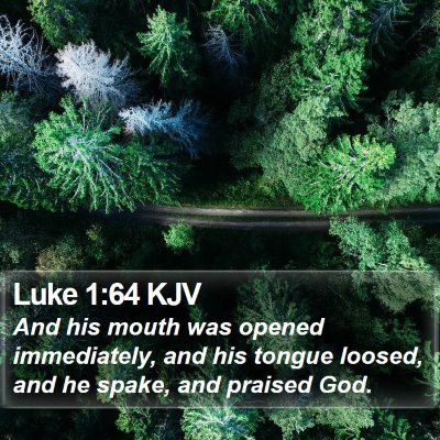 Luke 1:64 KJV Bible Verse Image