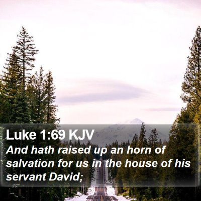 Luke 1:69 KJV Bible Verse Image