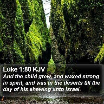 Luke 1:80 KJV Bible Verse Image