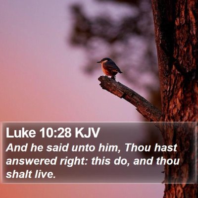Luke 10:28 KJV Bible Verse Image