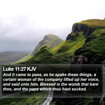 Luke 11:27 KJV Bible Verse Image