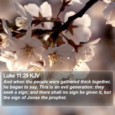 Luke 11:29 KJV Bible Verse Image