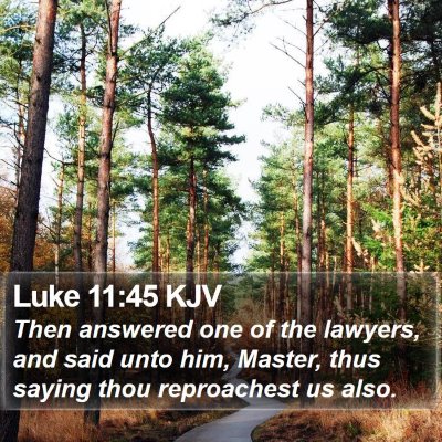Luke 11:45 KJV Bible Verse Image