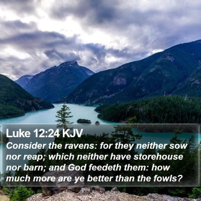 Luke 12:24 KJV Bible Verse Image