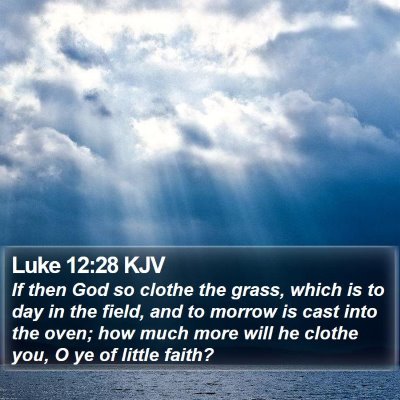 Luke 12:28 KJV Bible Verse Image