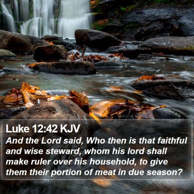 Luke 12:42 KJV Bible Verse Image