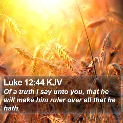 Luke 12:44 KJV Bible Verse Image