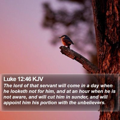 Luke 12:46 KJV Bible Verse Image