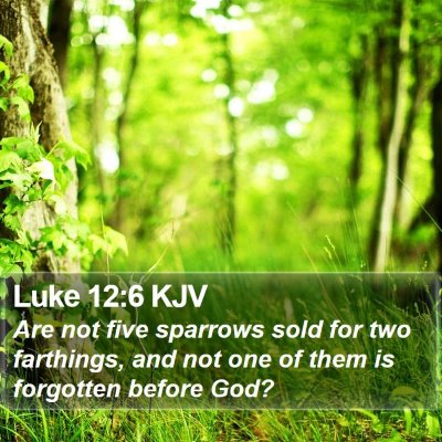 Luke 12:6 KJV Bible Verse Image