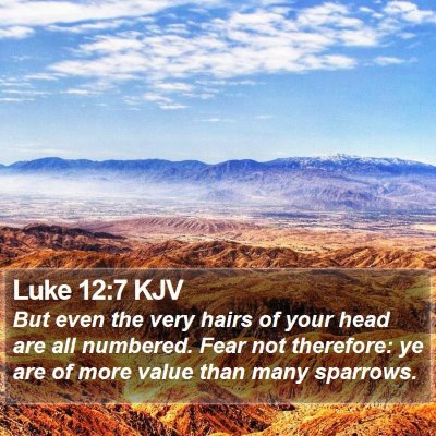 Luke 12:7 KJV Bible Verse Image
