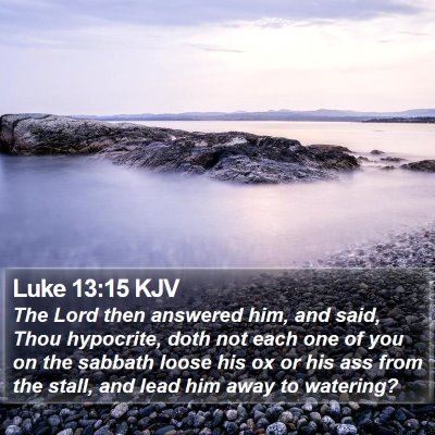 Luke 13:15 KJV Bible Verse Image