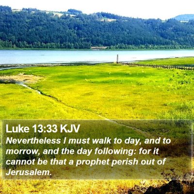 Luke 13:33 KJV Bible Verse Image