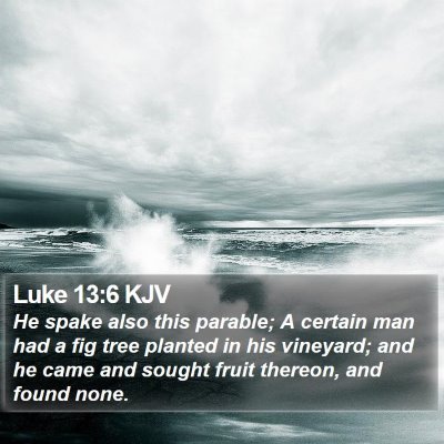 Luke 13:6 KJV Bible Verse Image