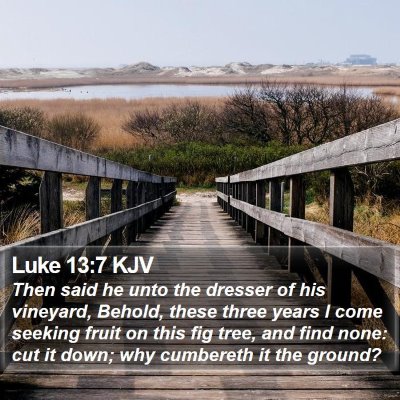 Luke 13:7 KJV Bible Verse Image