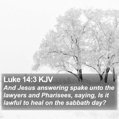 Luke 14:3 KJV Bible Verse Image