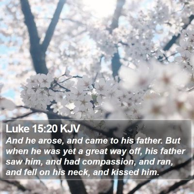 Luke 15:20 KJV Bible Verse Image
