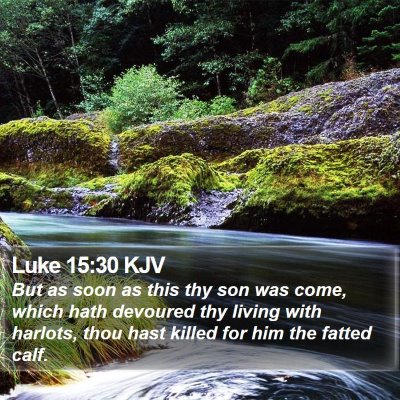 Luke 15:30 KJV Bible Verse Image
