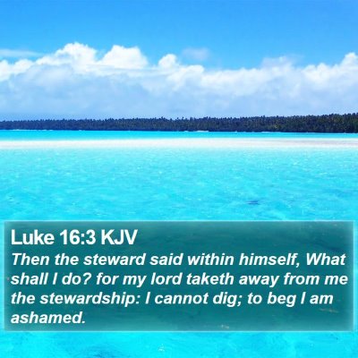 Luke 16:3 KJV Bible Verse Image