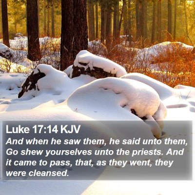 Luke 17:14 KJV Bible Verse Image