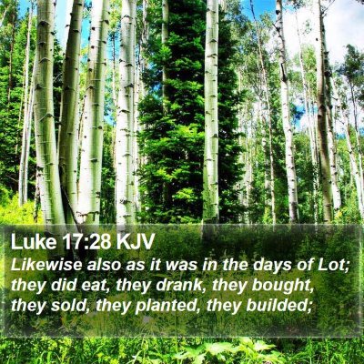 Luke 17:28 KJV Bible Verse Image