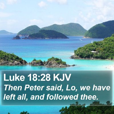 Luke 18:28 KJV Bible Verse Image