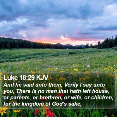 Luke 18:29 KJV Bible Verse Image