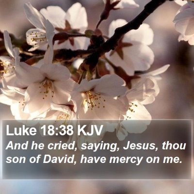 Luke 18:38 KJV Bible Verse Image