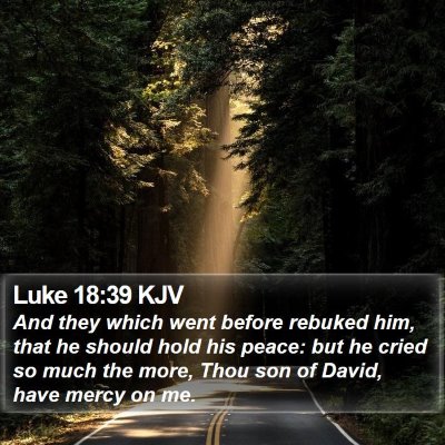 Luke 18:39 KJV Bible Verse Image