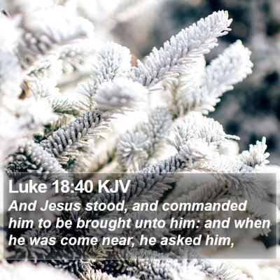 Luke 18:40 KJV Bible Verse Image