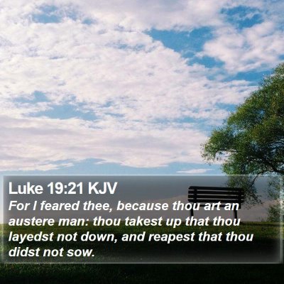 Luke 19:21 KJV Bible Verse Image