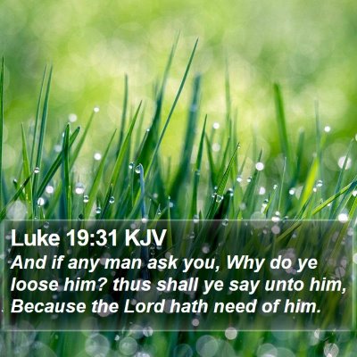 Luke 19:31 KJV Bible Verse Image