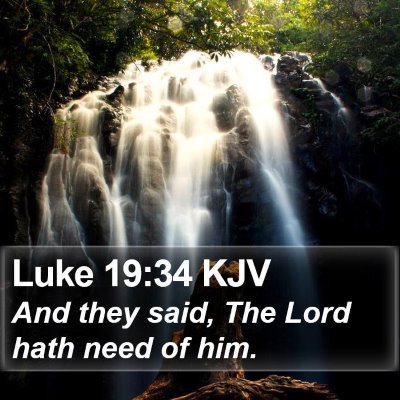 Luke 19:34 KJV Bible Verse Image