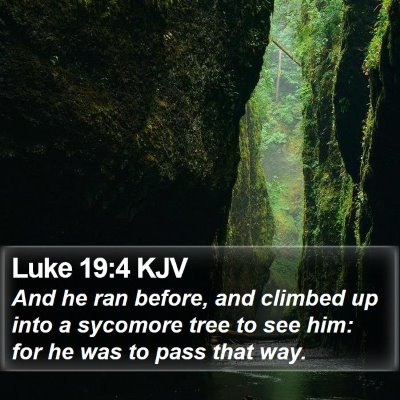 Luke 19:4 KJV Bible Verse Image