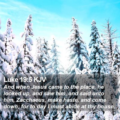 Luke 19:5 KJV Bible Verse Image