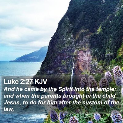 Luke 2:27 KJV Bible Verse Image