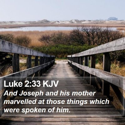 Luke 2:33 KJV Bible Verse Image