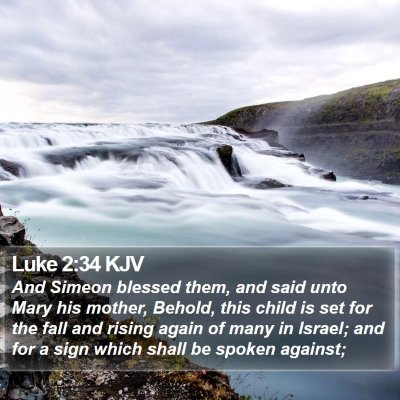 Luke 2:34 KJV Bible Verse Image