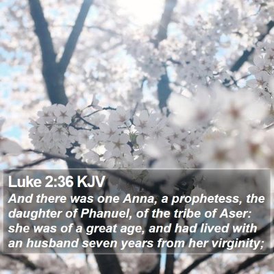 Luke 2:36 KJV Bible Verse Image