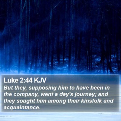 Luke 2:44 KJV Bible Verse Image