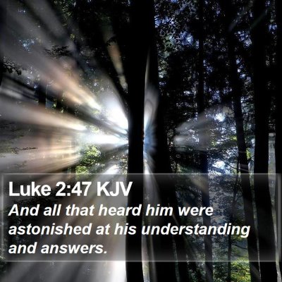 Luke 2:47 KJV Bible Verse Image