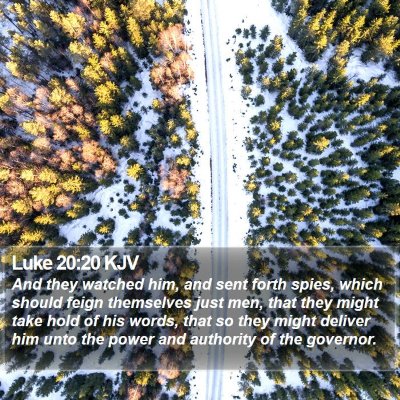 Luke 20:20 KJV Bible Verse Image