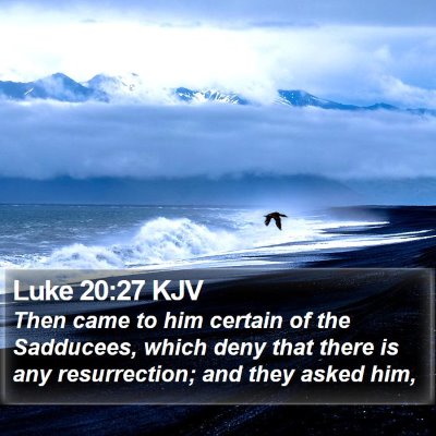 Luke 20:27 KJV Bible Verse Image