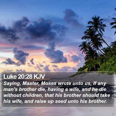 Luke 20:28 KJV Bible Verse Image