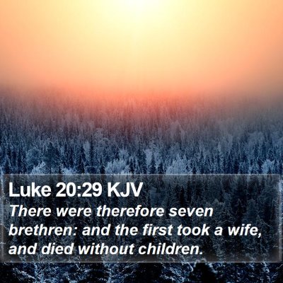 Luke 20:29 KJV Bible Verse Image