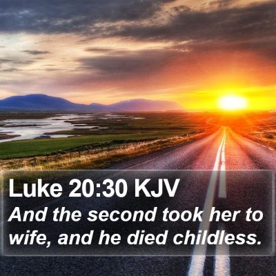 Luke 20:30 KJV Bible Verse Image