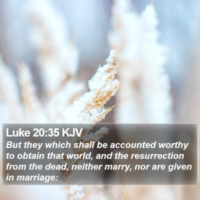 Luke 20:35 KJV Bible Verse Image