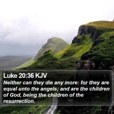 Luke 20:36 KJV Bible Verse Image
